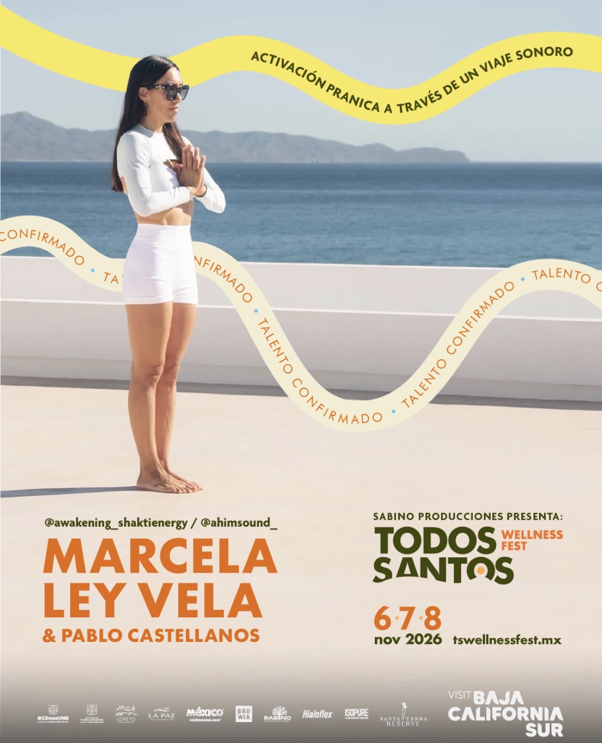 Flyer Todos Santos Wellness Fest
